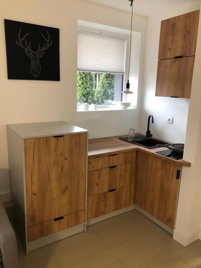 Apartament Beskidski 슈차이르크 외부 사진